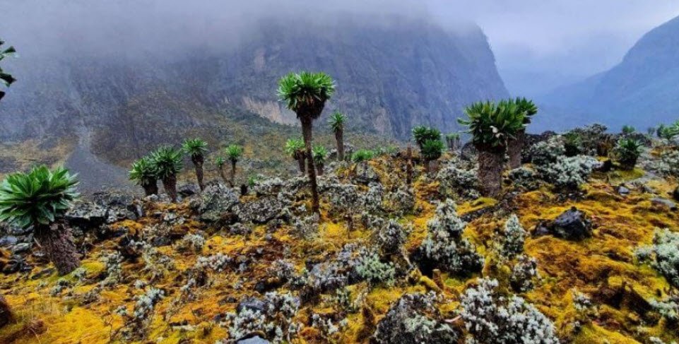 Ruwenzori Mountains, Northeastern DR Congo, DR Congo